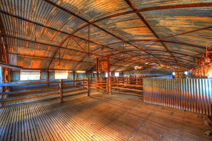 Bucklow Station - Woolshed - NSW SQ (PB5D 00 2643)